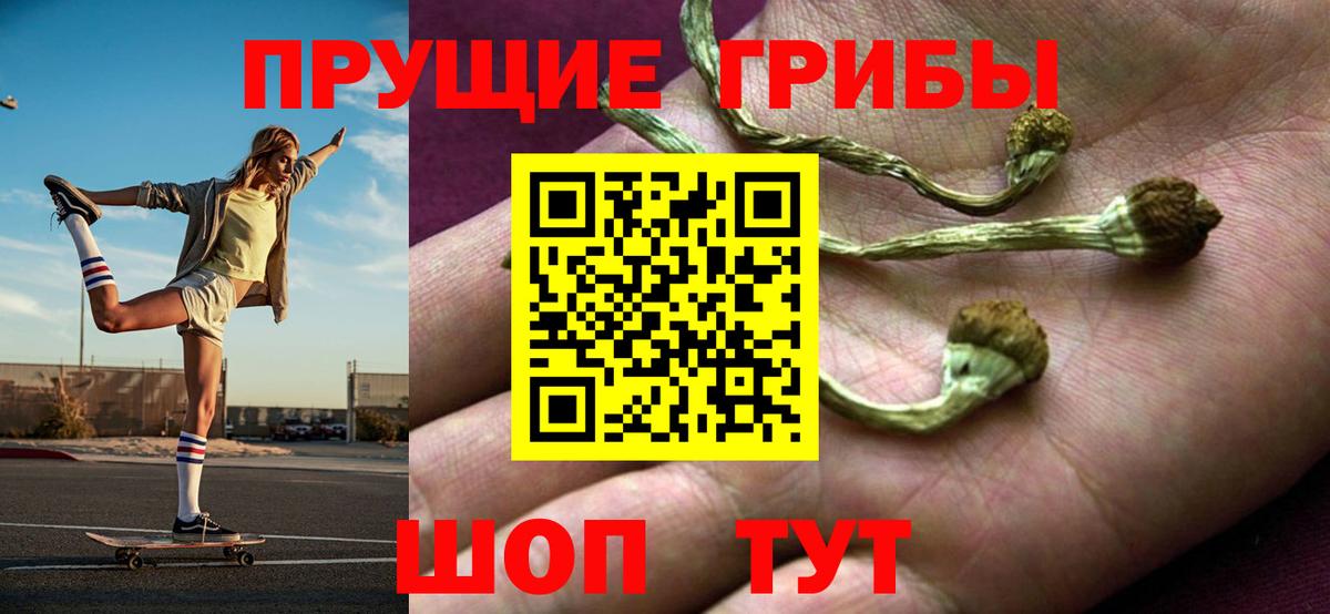 Курчалой  Псилоцибиновые грибы мицелий  Вход с VPN 