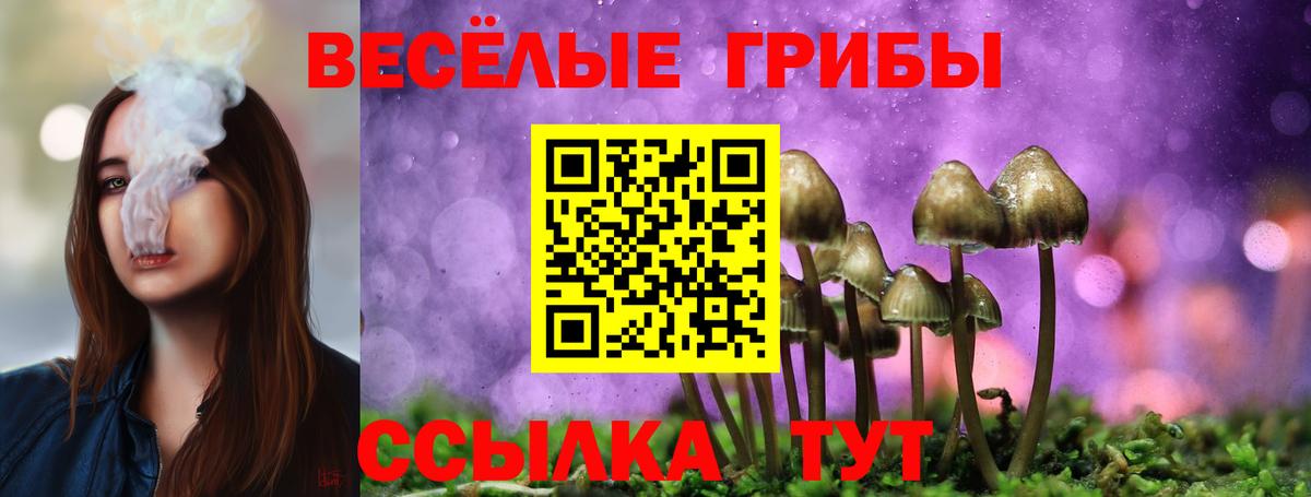 Галлюциногенные грибы прущие грибы Курчалой