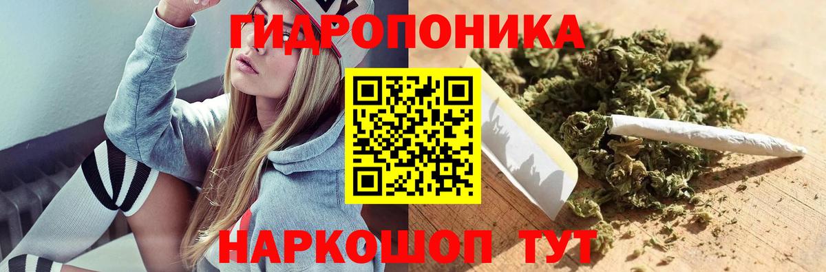МАРИХУАНА SATIVA & INDICA Курчалой